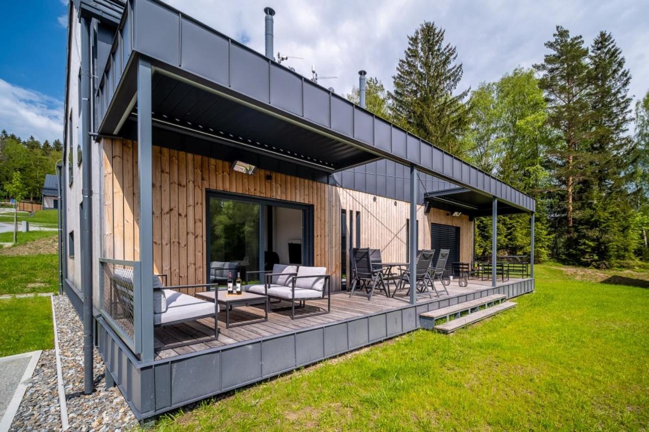 Holiday House U Hajenky 11P Lipno Home 伏尔塔瓦河畔利普诺 外观 照片