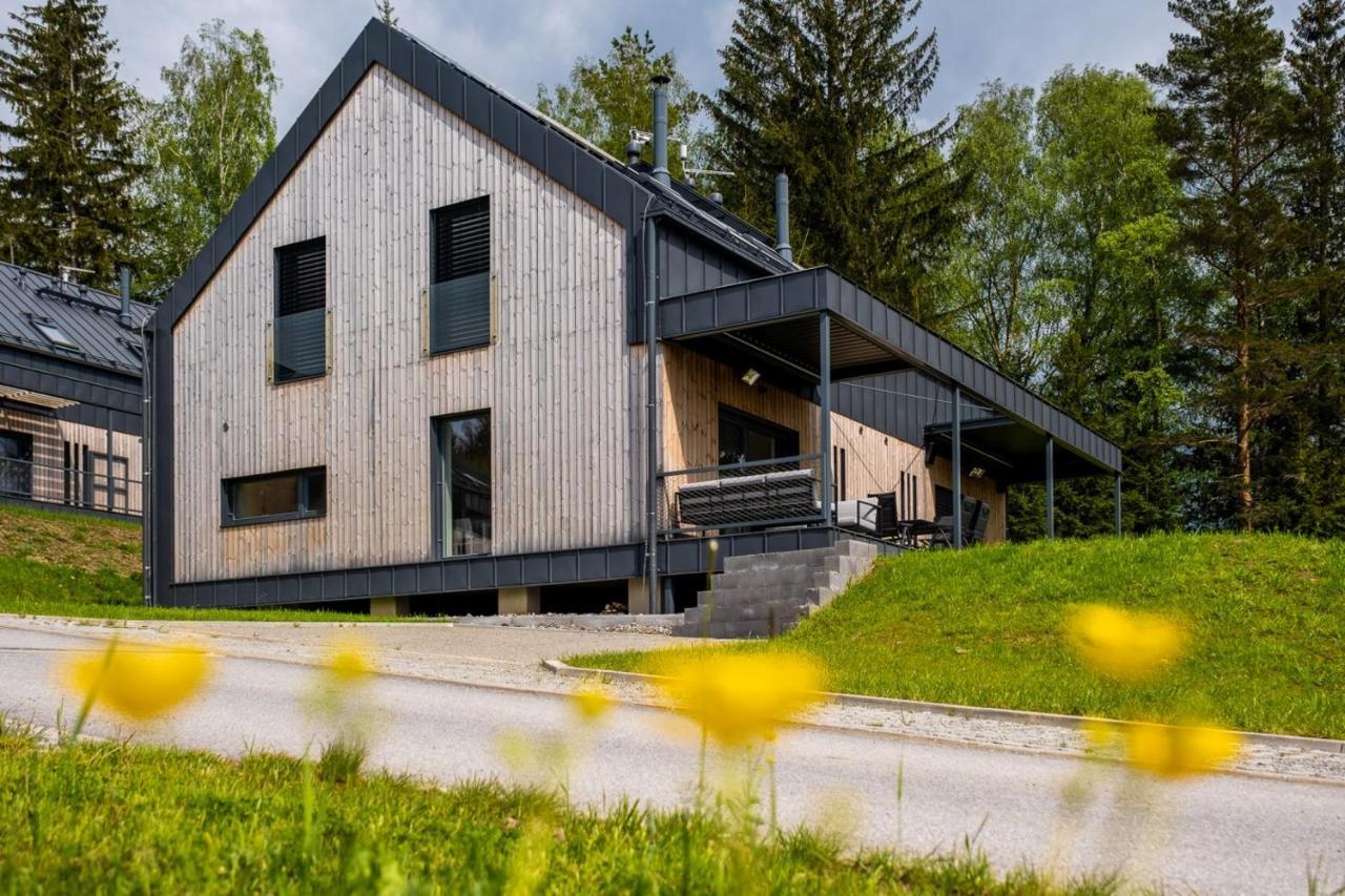 Holiday House U Hajenky 11P Lipno Home 伏尔塔瓦河畔利普诺 外观 照片